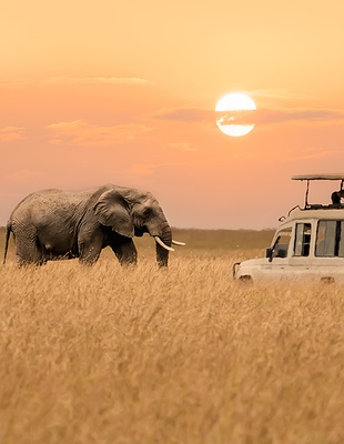 Luxury Safari & Island Escape – Maasai Mara & Seychelles